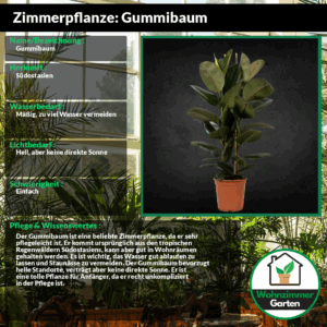 profile_background_img