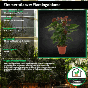 profile_background_img