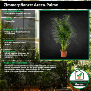 profile_background_img
