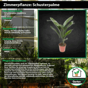 profile_background_img