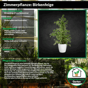 profile_background_img